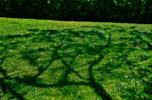 2010-05-18 01-06-38 PM _CAS9796