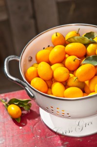 2011.04.19 04 18 22 PM _CAS2132