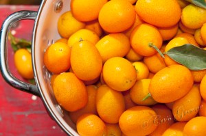 2011.04.19 04 20 05 PM _CAS2140