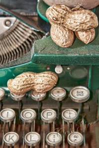 2011.04.21 07 14 57 AM _CAS2242