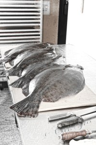 2011.04.21 02 42 22 PM _CAS2250