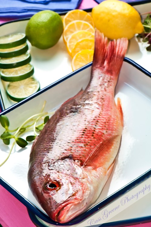 Catalina Offshore Products freshest fish on EARTH