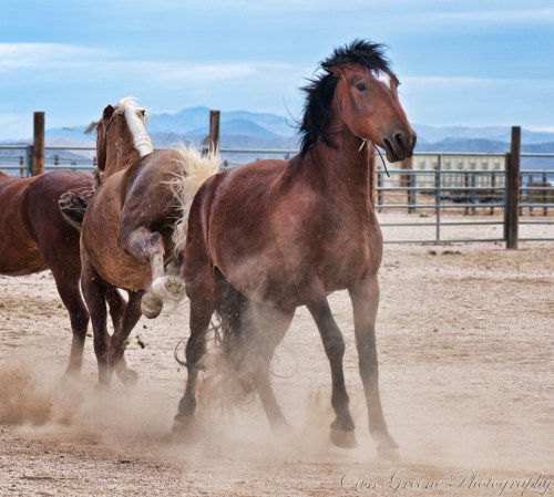 2011.06.04 03 24 14 PM _CAS6215