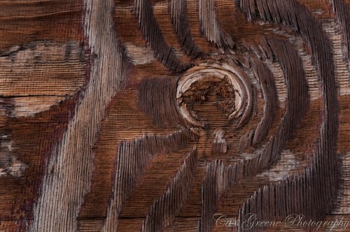 2011.06.04 10 23 27 AM _CAS5427