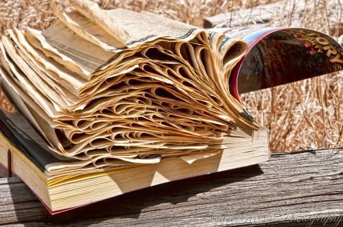 2011.06.04 10 41 02 AM _CAS5534