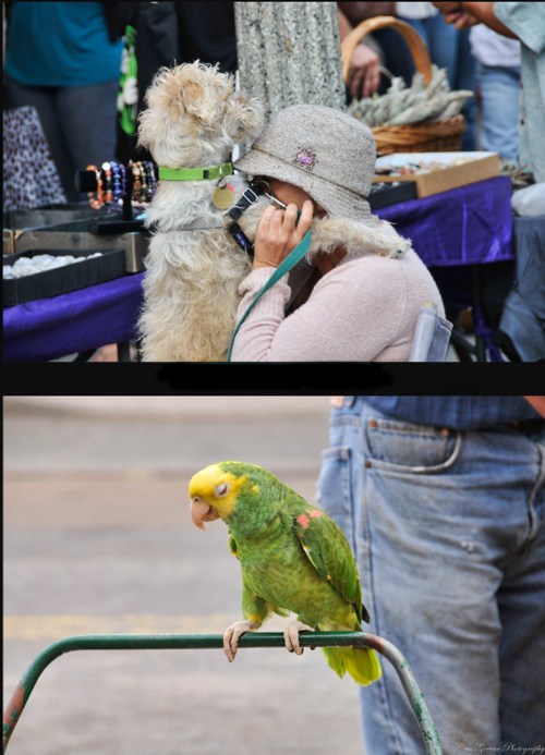 Screen shot 2011-06-09 at 6.14.33 AM